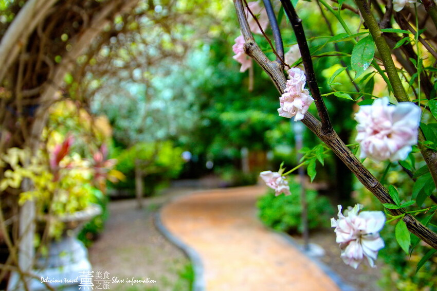 探索迷宮/薰的美食之旅/彰化景點 探索迷宮/薰的美食之旅/彰化景點