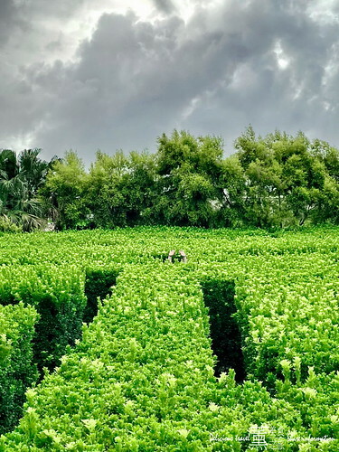 探索迷宮/薰的美食之旅/彰化景點 探索迷宮/薰的美食之旅/彰化景點