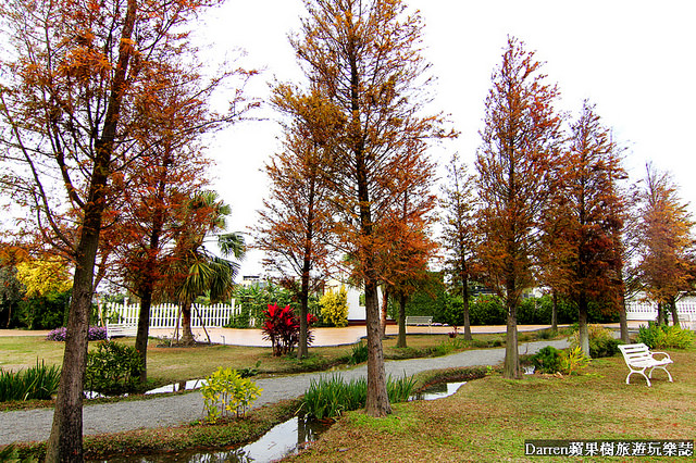 『彰化景點』探索迷宮歐式莊園★迷宮花園南法莊園IG臉書打卡熱點/彰化私房景觀餐廳/大沙坑大草坪落羽松婚紗拍攝親子景點