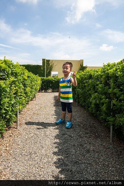 [親子]探索迷宮歐式莊園餐廳。