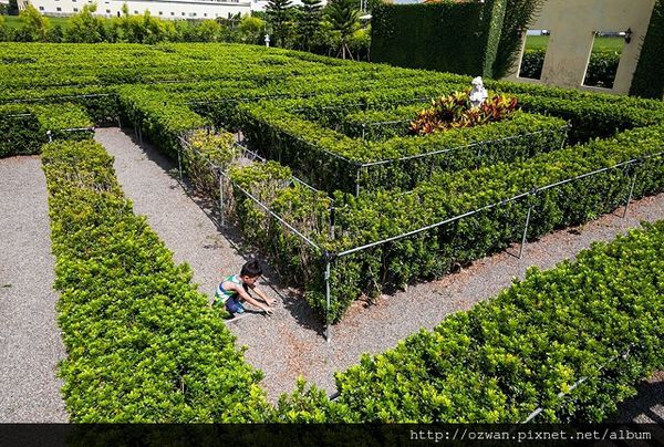 [親子]探索迷宮歐式莊園餐廳。