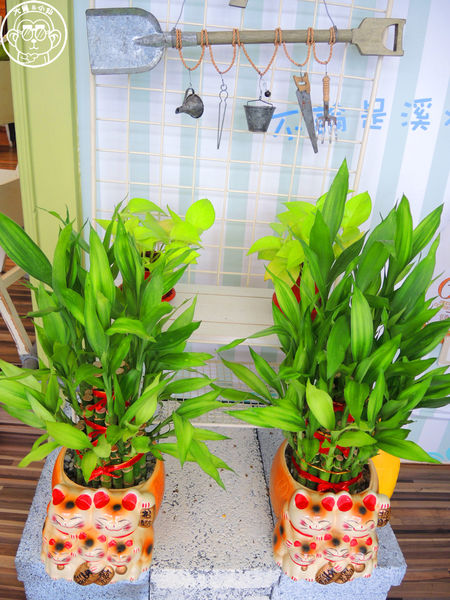 初鹿小站二店：呷飽祙【新北板橋･初鹿小站二店】純鮮乳做的吐司