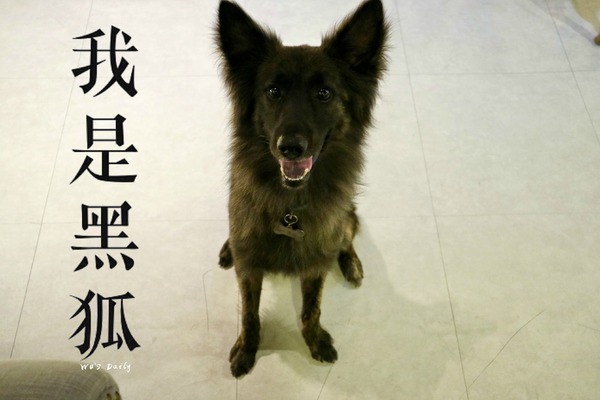 cm20170620___0baffe6a1bf53f9fdfd2d32f707