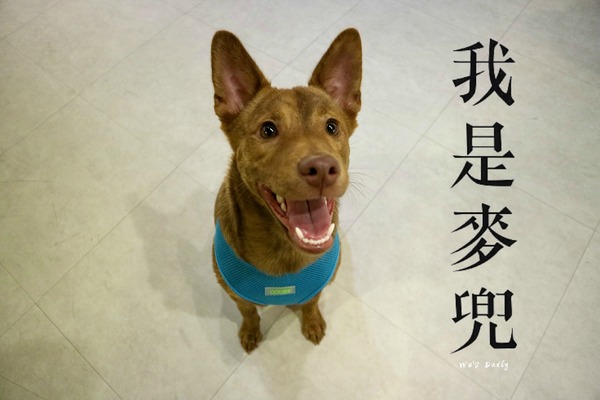 cm20170620___31914e5644f67a00c1cc0e45354