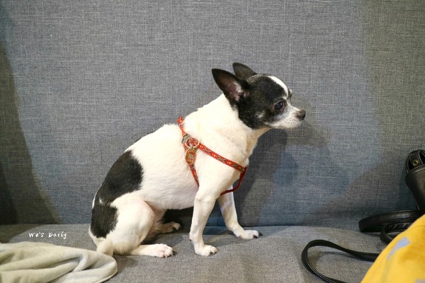 cm20170620___a518bac88f13459cfc0a1cedf06