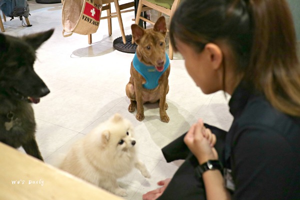 cm20170620___4ed7f01cdf57f772f567d76f1db