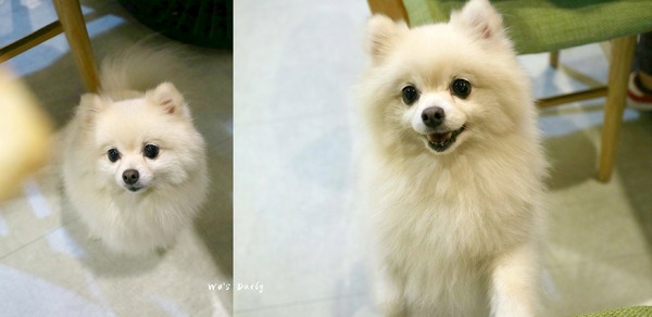 cm20170620___ccc98ab8f482d48ea84dfdace98