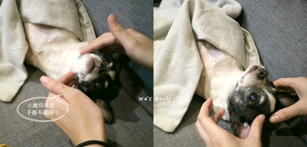 cm20170620___272eb10d09b39a276999e7e2b6a