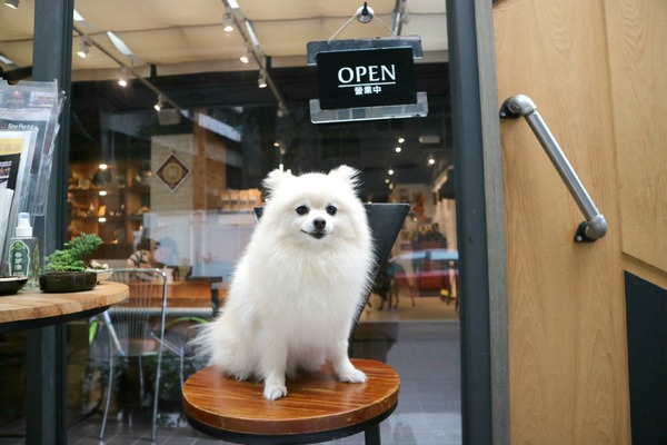 cm20170620___3f33e8953265e21e79f945fa196