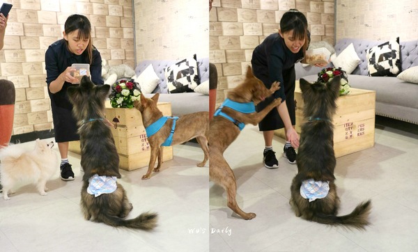 cm20170620___e847041f06ee2d402d61922b98f