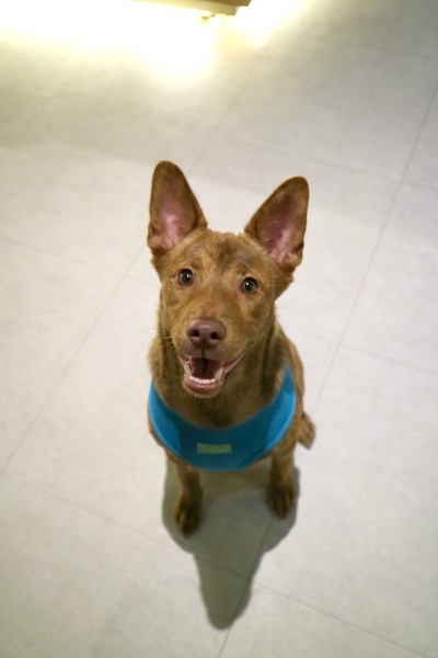 cm20170620___d60d5b85cd58802072d1babce52