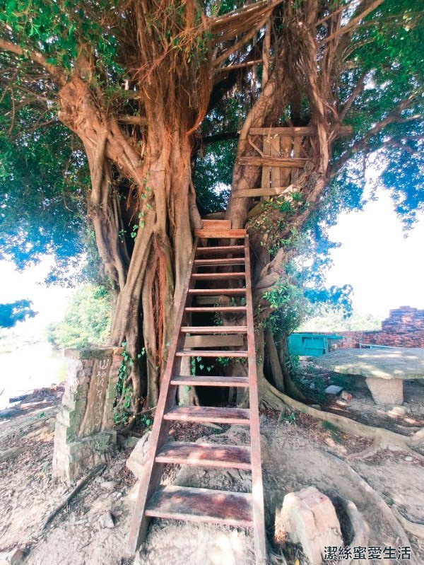 老塘湖藝術村 樹屋