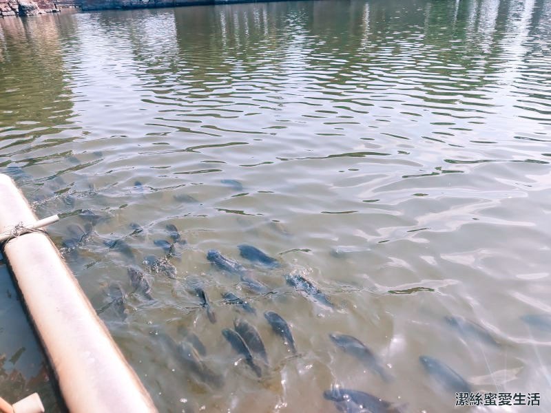 老塘湖藝術村 魚兒
