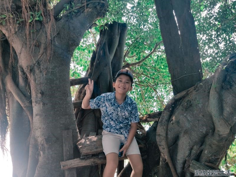 老塘湖藝術村 樹屋