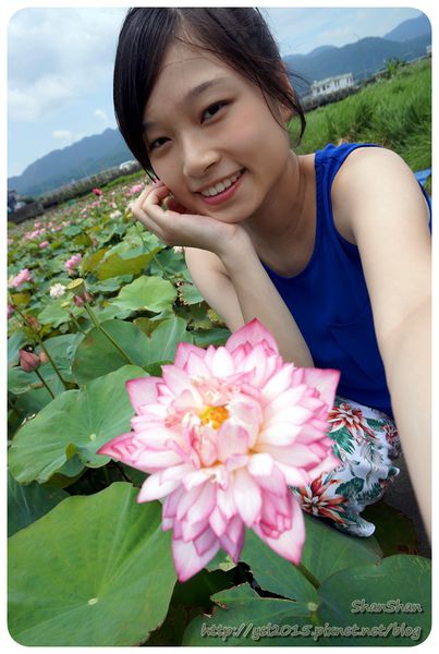 新北市追荷賞蓮 - 金山磺清橋邊&秘境！淡水屯山里