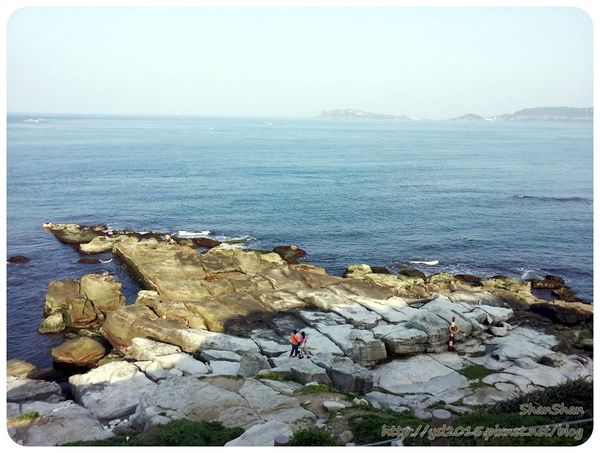 新北市追荷賞蓮 - 金山磺清橋邊&秘境！淡水屯山里