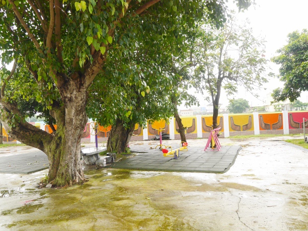 P8700746 (620x465).jpg