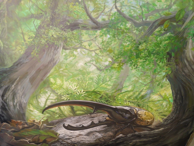 P8700741 (620x465).jpg