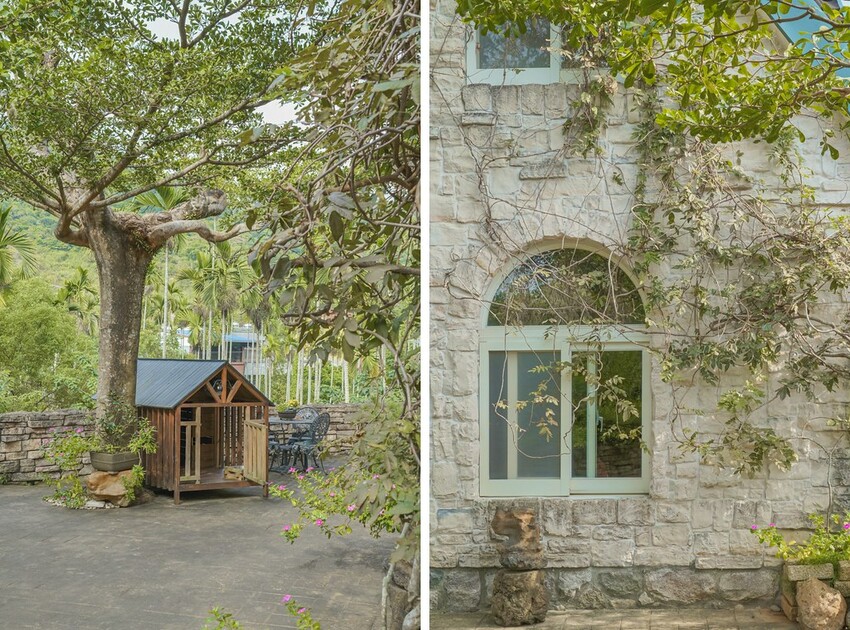 DSC09896-side DSC09896-side