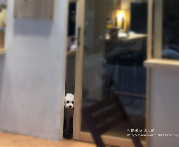 【永和美食】源本屋日式車輪餅專賣店-萌狗店長熊熊坐檯中｜新菜單