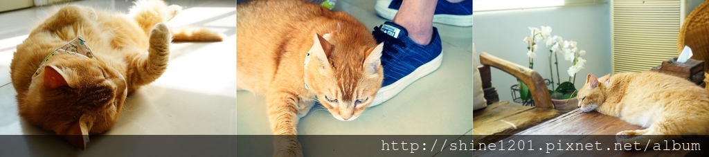 墾丁後壁湖民宿 墾丁峰情海灣館 萬里桐.後壁湖景點