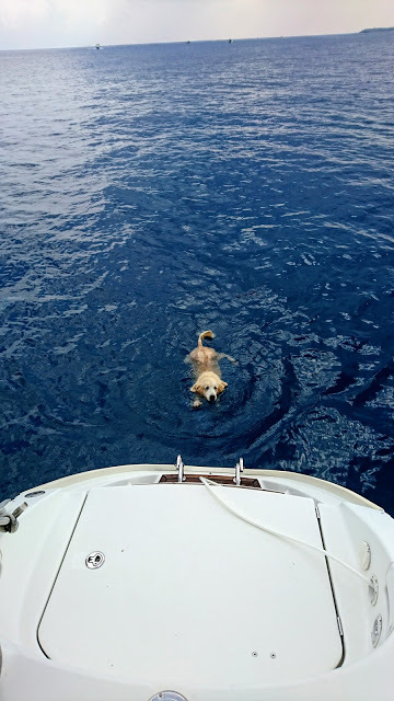 屏東墾丁。伊亞帆船遊艇俱樂部。星砂灣秘境海灘