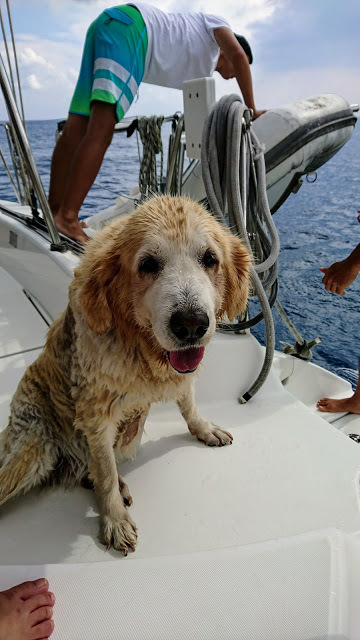 屏東墾丁。伊亞帆船遊艇俱樂部。星砂灣秘境海灘