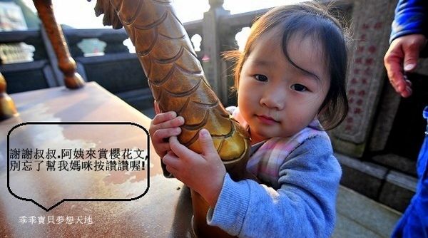 汐止大尖山櫻花季-32.JPG 汐止大尖山櫻花季-32.JPG