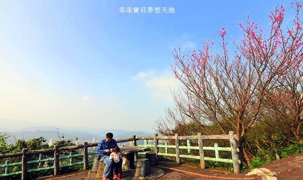 汐止大尖山櫻花季-25.JPG 汐止大尖山櫻花季-25.JPG