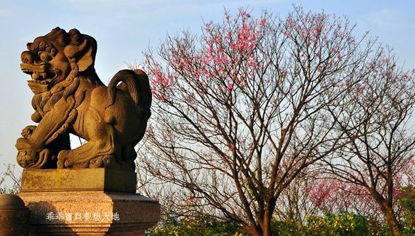 汐止大尖山櫻花季-29.JPG 汐止大尖山櫻花季-29.JPG