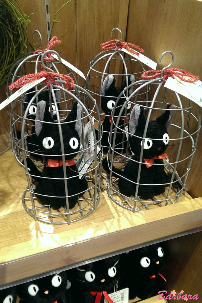 IMAG4575.jpg IMAG4575.jpg