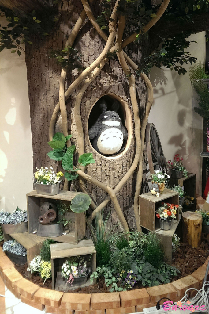 IMAG4560.jpg IMAG4560.jpg