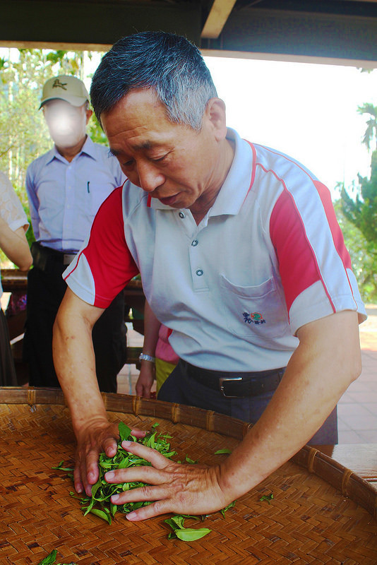 41590578744_2ab3ace2c5_c