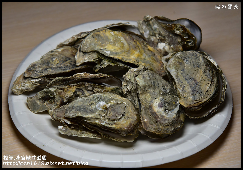 探索.迷宮歐式莊園DSC_2177 探索.迷宮歐式莊園DSC_2177