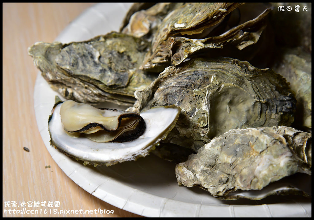 探索.迷宮歐式莊園DSC_2182 探索.迷宮歐式莊園DSC_2182