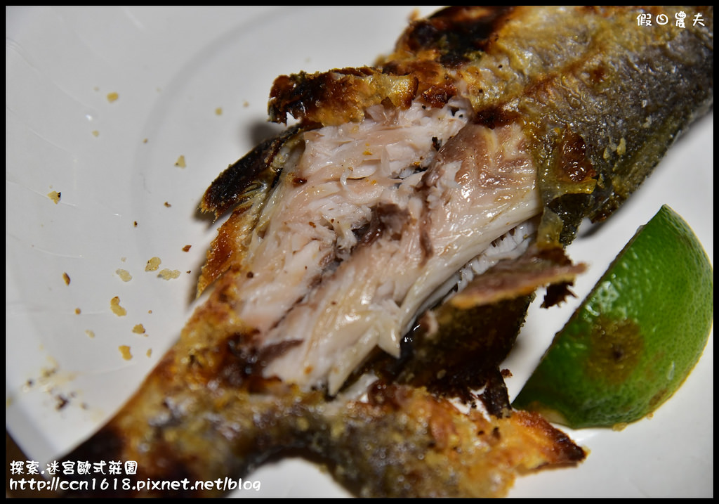 探索.迷宮歐式莊園DSC_2198 探索.迷宮歐式莊園DSC_2198