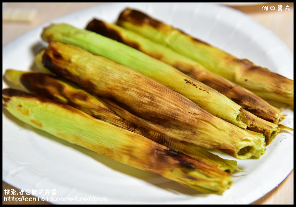 探索.迷宮歐式莊園DSC_2186 探索.迷宮歐式莊園DSC_2186