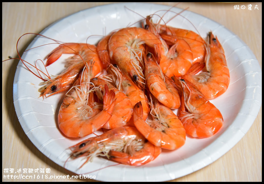 探索.迷宮歐式莊園DSC_2185 探索.迷宮歐式莊園DSC_2185