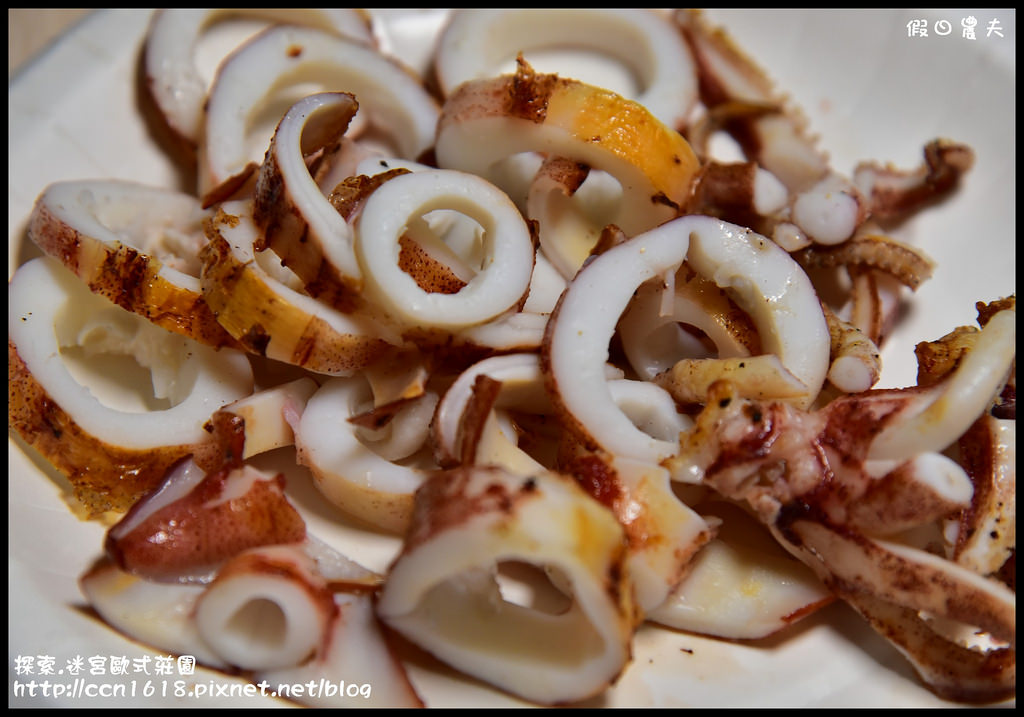 探索.迷宮歐式莊園DSC_2201 探索.迷宮歐式莊園DSC_2201