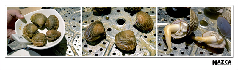 0053_DSC4330_併 拷貝