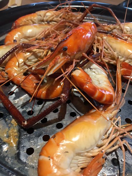 IMG_7385.JPG IMG_7385.JPG