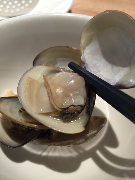 IMG_7360.JPG IMG_7360.JPG