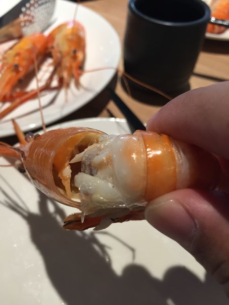 IMG_7387.JPG IMG_7387.JPG