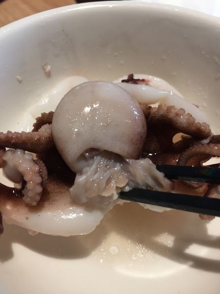 IMG_7376.JPG IMG_7376.JPG