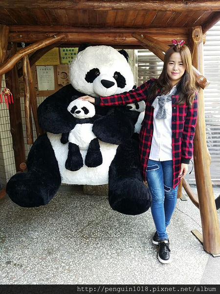 16640747_581388965390469_8034639322717574890_n