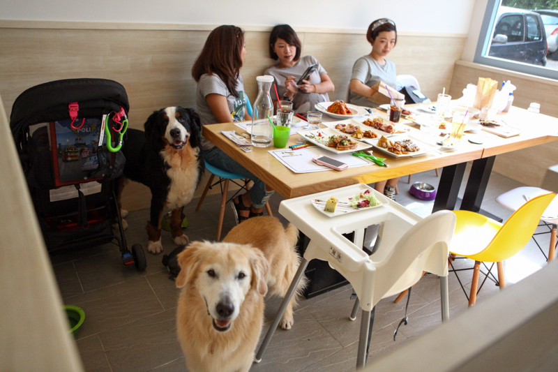 可可-111.jpg 可可-111.jpg