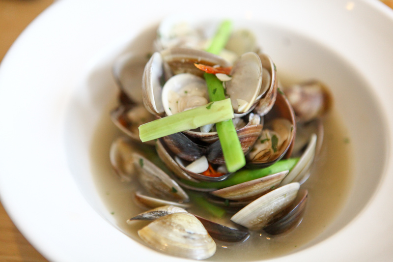 可可-85.jpg 可可-85.jpg