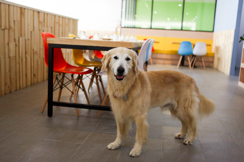 可可-120.jpg 可可-120.jpg