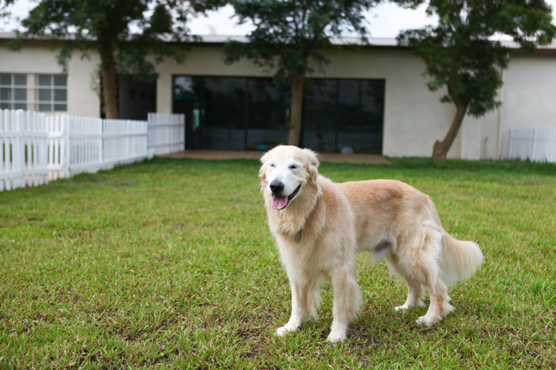 可可-41.jpg 可可-41.jpg