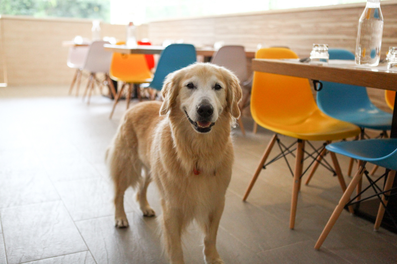 可可-115.jpg 可可-115.jpg